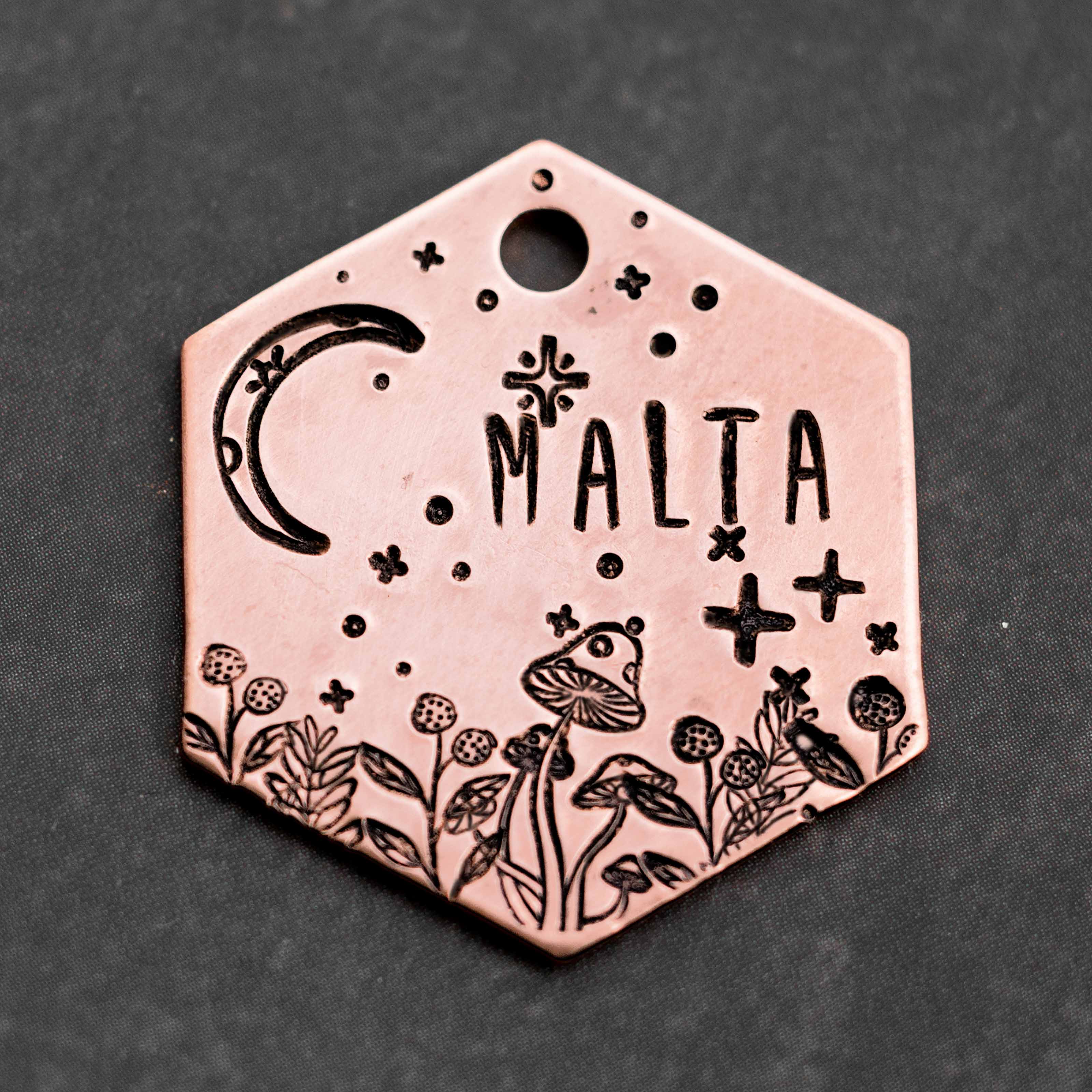 Adresówka dla psa LUNAR TRAIL - Image 2