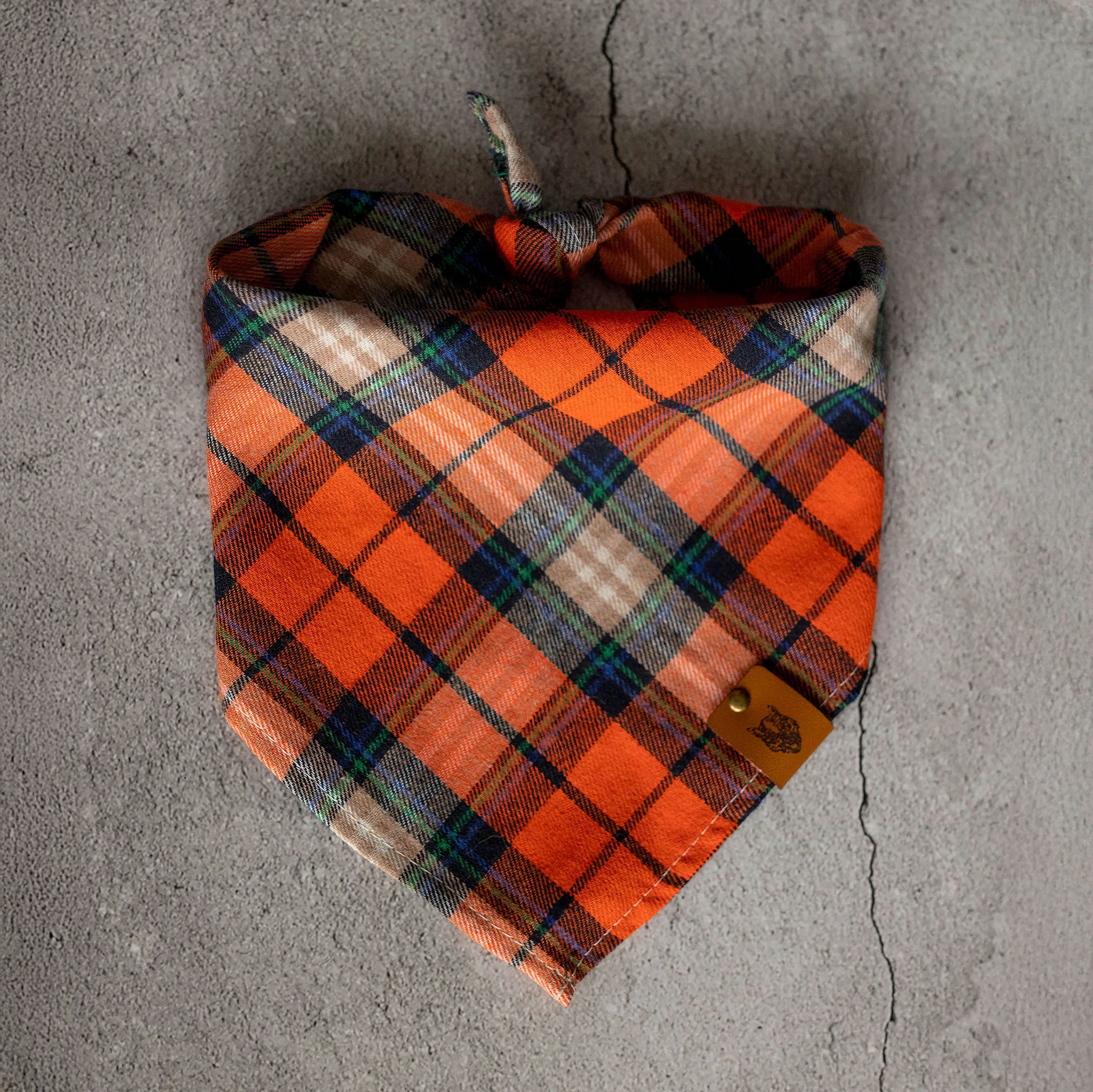 Bandana dla psa TIMBER - Image 3